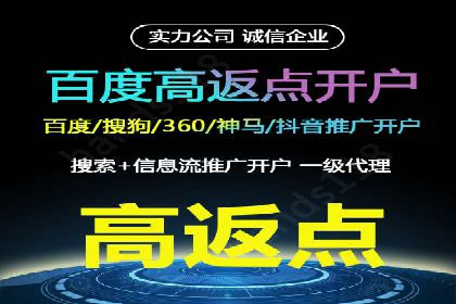 百度推广的广告投放策略案例